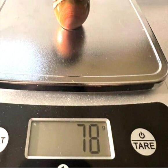 Very Pretty Polychrome Mushroom - Picture 6 of 6